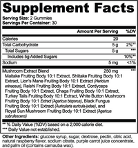 Mushroom Extract Complex